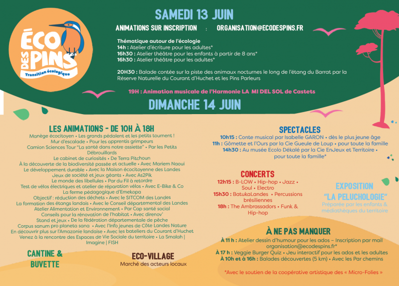 ECO DES PINS 2.png