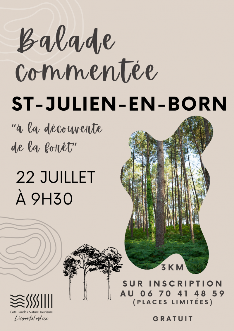 STJU-for&ecirc;t.png